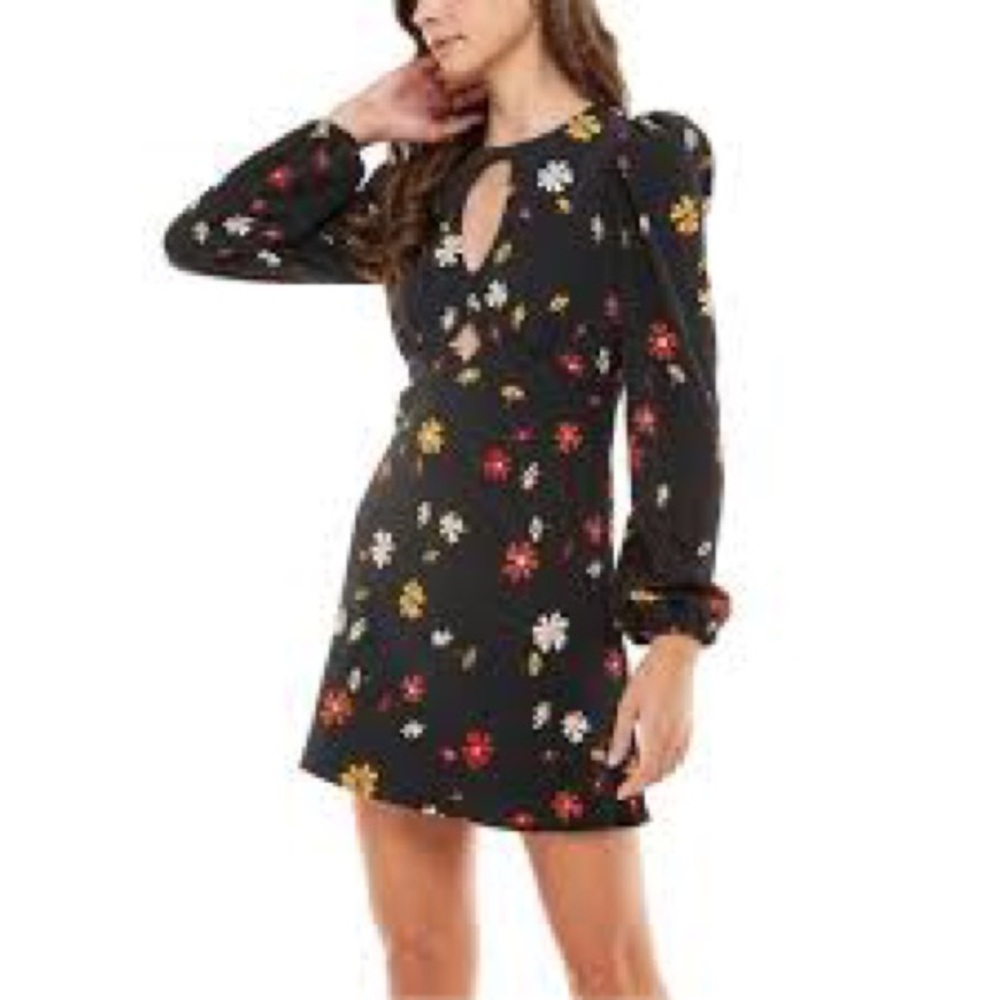 NWT
WAYF Channing Black Falling Daisies Print Long Sleeve Black Dress 🌸